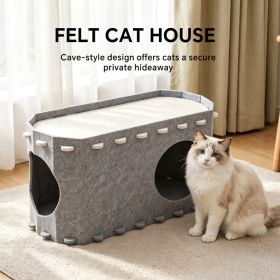 Cat House Petting Room (Option: Default)